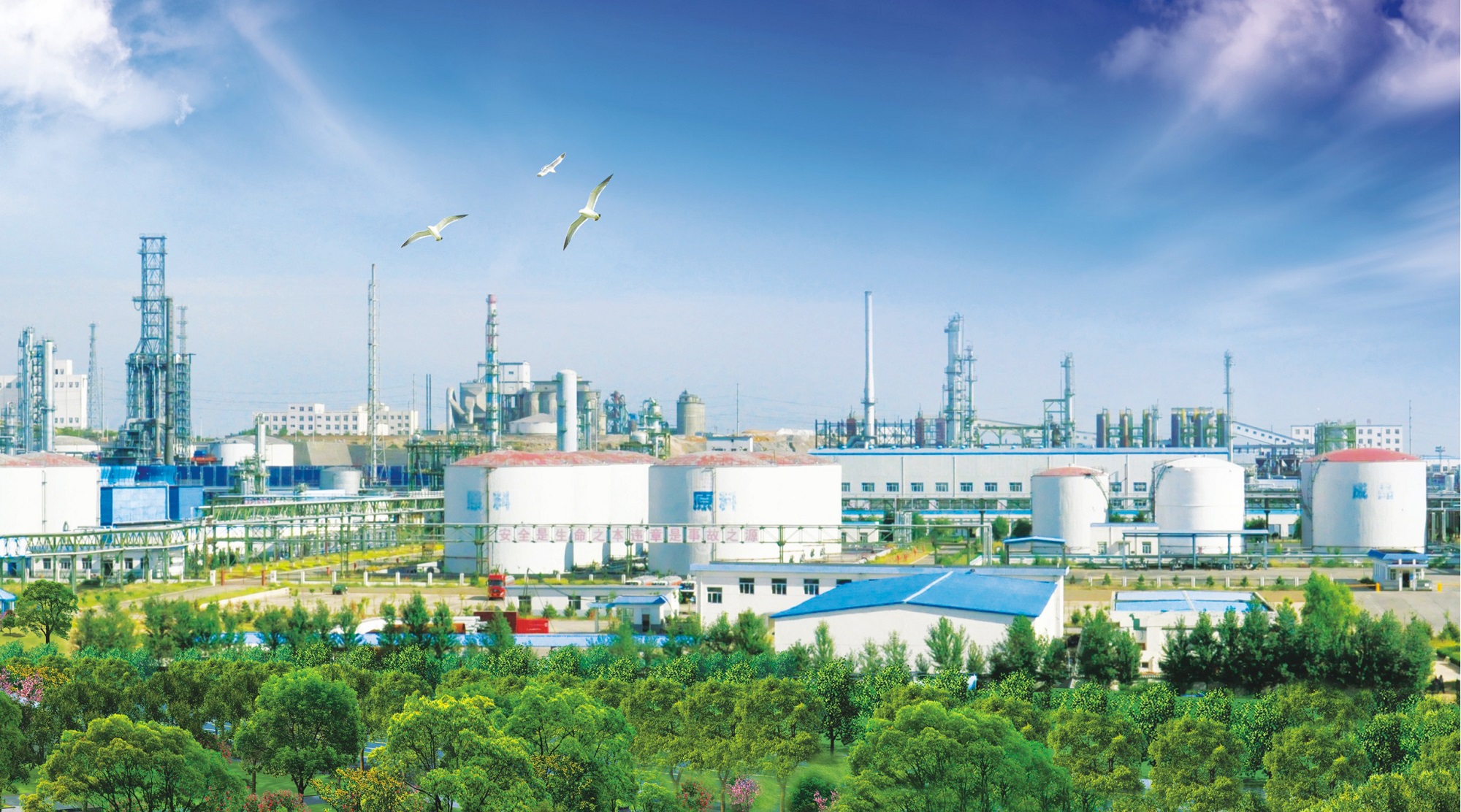 101768010430189916.jpg 廠區區域長圖.jpg